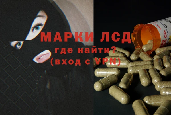молекула духа Пересвет