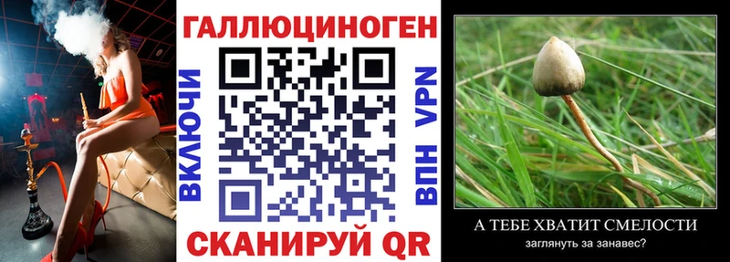 Галлюциногенные грибы Cubensis  Палласовка 